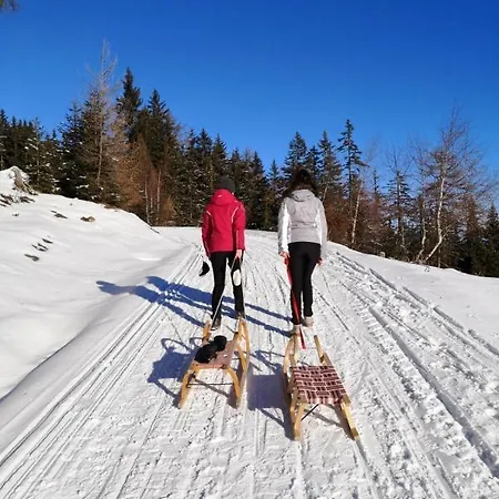Penthouse Aineckblick Apartmán *