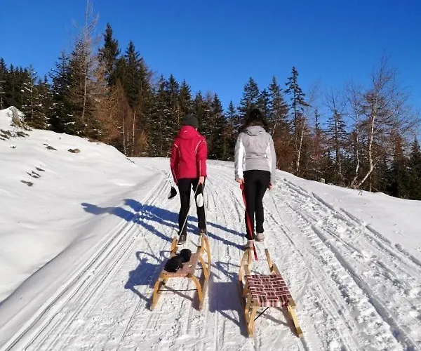 Penthouse Aineckblick Appartement *